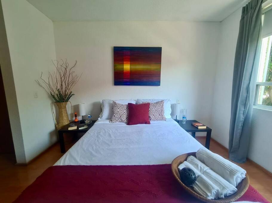 墨西哥城Excelente Departamento En La Condesa公寓 外观 照片